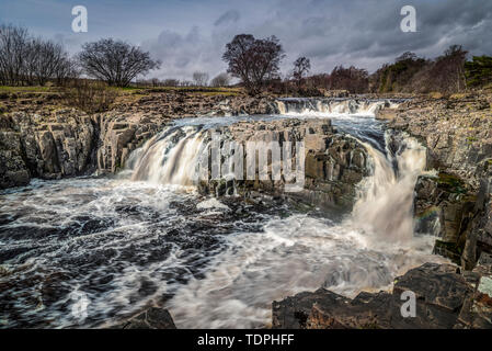 Forza bassa in alta Teesdale, Nord dell'Inghilterra dove i Tees del fiume rotola sopra la soglia di whin, uno strato di roccia dura della dolerite che ha formato 295 milli... Foto Stock