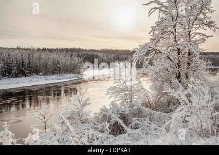 Coperte di neve alberi lungo il fiume Kam in inverno con oro brillante luce del sole attraverso le nuvole; Thunder Bay, Ontario, Canada Foto Stock