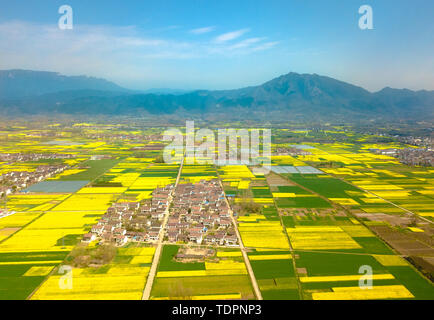 National Highway 108 attraverso Hanzhong olio di colza Foto Stock