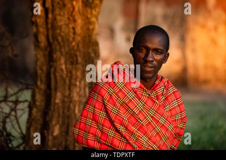 Close-up ritratto di uomo Masai in shuka mediante una struttura ad albero; Tanzania