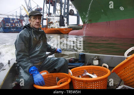 Fischerman in una barca da pesca sul fiume Elba nel porto di Amburgo, Germania, Amburgo Foto Stock