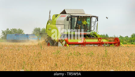 Mietitrice su campo di grano, Moldavia, Delacau Foto Stock