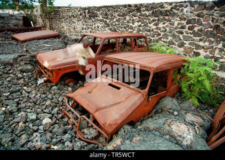 Bambini che giocano su auto rottamate, Repubblica Democratica del Congo, Goma Foto Stock