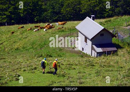 I viandanti sulla strada per il rifugio sulla cima del Col de la Sure, Francia, Chartreuse, Grenoble Foto Stock