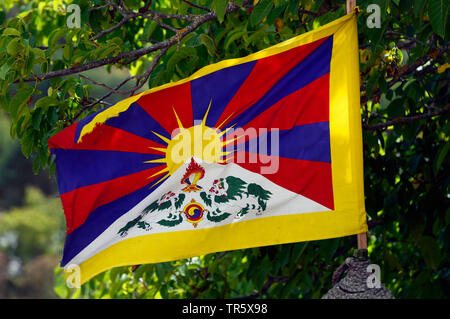 Bandiera tibetana, Cina, Tibet Foto Stock