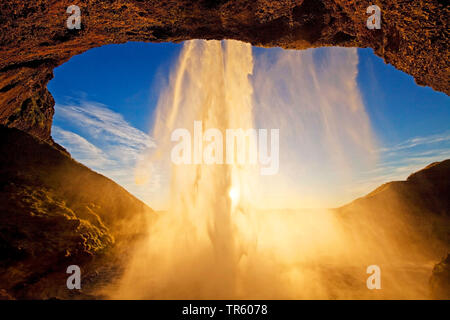 Cascata Seljalandsfoss, in controluce, fiume Seljalandsa, nel sole di sera, Islanda, Sud Islanda, Seljalndsfoss Foto Stock