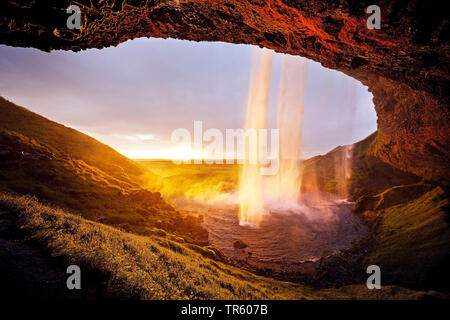 Cascata Seljalandsfoss, in controluce, fiume Seljalandsa, nel sole di sera, Islanda, Sud Islanda, Seljalndsfoss Foto Stock