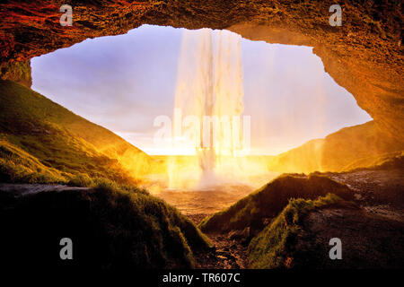 Cascata Seljalandsfoss, in controluce, fiume Seljalandsa, nel sole di sera, Islanda, Sud Islanda, Seljalndsfoss Foto Stock