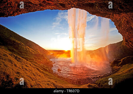 Cascata Seljalandsfoss, in controluce, fiume Seljalandsa, nel sole di sera, Islanda, Sud Islanda, Seljalndsfoss Foto Stock