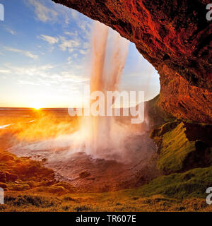 Cascata Seljalandsfoss, in controluce, fiume Seljalandsa, nel sole di sera, Islanda, Sud Islanda, Seljalndsfoss Foto Stock