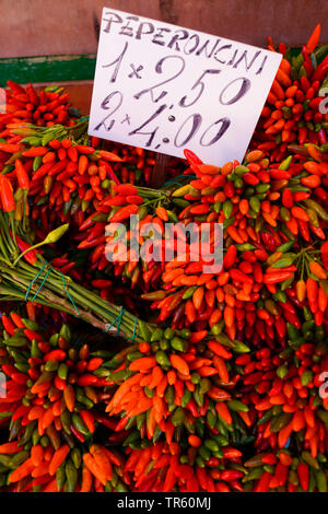 Peperoncino (Capsicum spec. ), Mazzetto di peperoncino su un mercato, Italia Foto Stock