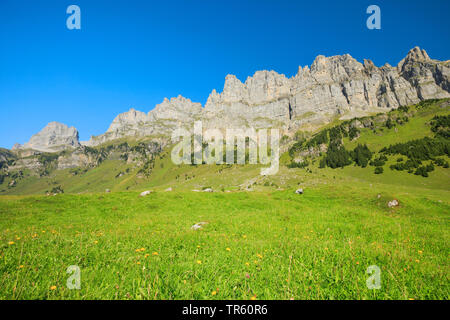 Vista dall alta Valle Urnerboden a Laeckistock, Rot Nossen, Signalstock, Jegerstoeck, Schijen e montagne Ortstock, Svizzera, Uri Foto Stock