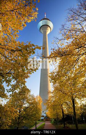 La torre della televisione Rheinturm in autunno, in Germania, in Renania settentrionale-Vestfalia, Basso Reno, Duesseldorf Foto Stock