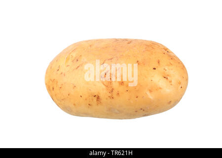 Patata (solanum tuberosum talento), patata cultivar di talento, ritaglio Foto Stock