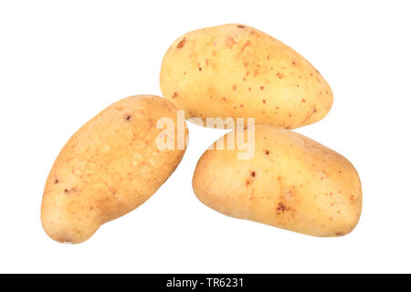 Patata (solanum tuberosum Twlight maya), patate di cultivar oro Maya, ritaglio Foto Stock