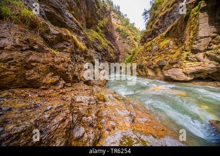 Burrone con il torrente di montagna, Austria, Tirolo Foto Stock