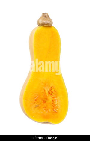 La Zucca (Cucurbita moschata), metà di frutta Foto Stock
