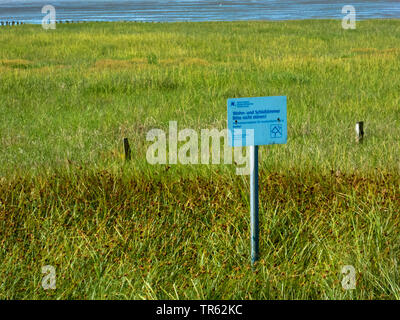 Area di sosta in nationalpark mare di marea, Germania, Bassa Sassonia, Frisia orientale, Norddeich Foto Stock