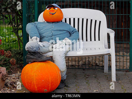 Di midollo osseo, campo di zucca (Cucurbita pepo), faccia dipinta su una zucca zucca, uomo seduto su un banco di lavoro Foto Stock