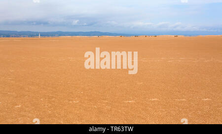 Dune di Punta del Fangar, il fiume Ebro Delta, Deltebre, Costa Dorada, Spagna, Katalonia Foto Stock