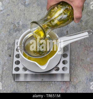 Enagra (Oenothera biennis), produzione di Evening Primerose crema, 2 Passo: olio di Evening Primerose si versa olio in una pentola su una più calda, Serie immagine 2/10, Germania Foto Stock