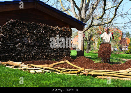 Uomo che lavora in un giardino, la pila di legno, monte di abbaio di pacciame e Barrow, in Germania, in Renania settentrionale-Vestfalia Foto Stock