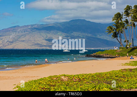 La KAMA'ole Beach Park II, STATI UNITI D'AMERICA, Hawaii Maui Kihei Foto Stock