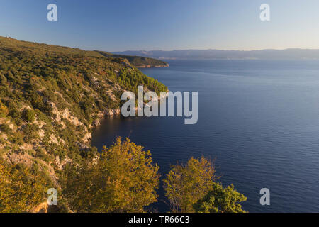 Costa rocciosa nella luce del mattino, Croazia, Cres Foto Stock