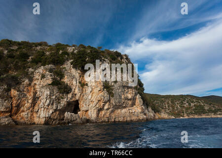 Grifone (Gyps fulvus), città di Beli, rocce di allevamento degli avvoltoi vicino al mare, gamma di Tramontana, Croazia, Cres Foto Stock