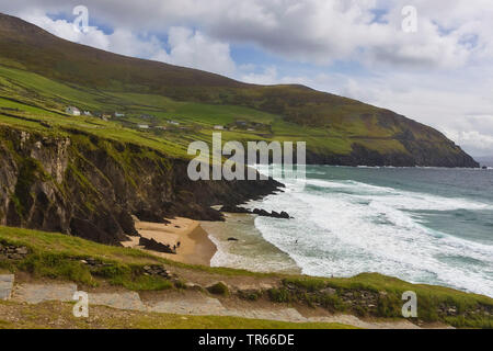 Costa rocciosa e le spiagge di sabbia della penisola di Dingle, Ring of Kerry, Irlanda, nella contea di Kerry, la penisola di Dingle, Dingle Foto Stock