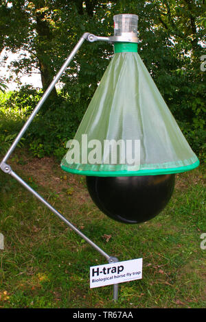 Horseflies (Tabanus ssp.), biologici horse-fly trap, Germania Foto Stock