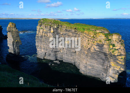 Stack di mare dal castello girnigoe sinclair, Regno Unito, Scozia, Caithness, Wick Foto Stock