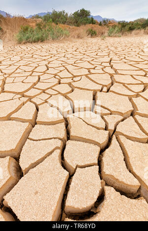 Suolo asciutto di un ex acre, Israele Foto Stock