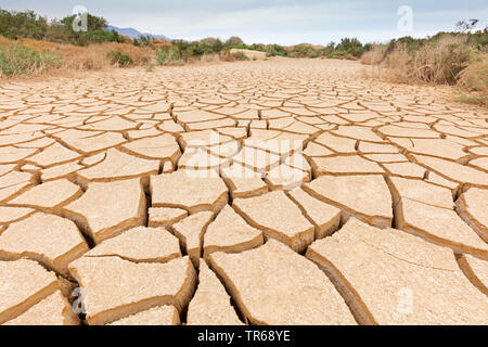 Suolo asciutto di un ex acre, Israele Foto Stock