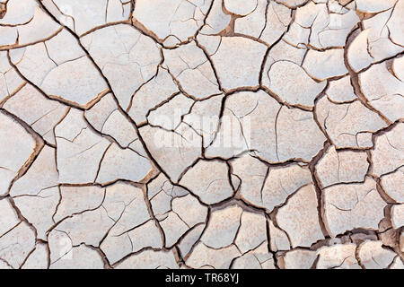 Suolo asciutto di un ex acre, Israele Foto Stock