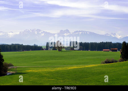 Vista sui prati di Allgaeu Alpi e montagne di Tannheim con Aggenstein in primavera, in Germania, in Baviera, Region-Ostalgaeu Foto Stock