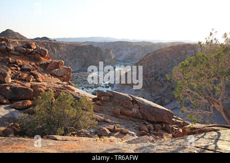 Arancione sulla gola del fiume vicino Ararat, Sud Africa, Augrabies Falls National Park Foto Stock