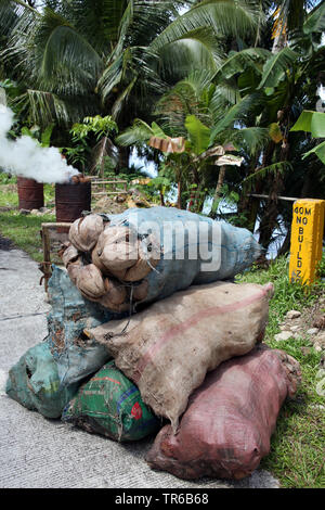 Carbone di legna dalla compilazione di gusci di noce di cocco sul ciglio della strada, Filippine, Sud Leyte, Panaon Isola, Pintuyan Foto Stock