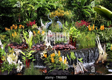 National Orchid Garden Singapure, Singapore Foto Stock