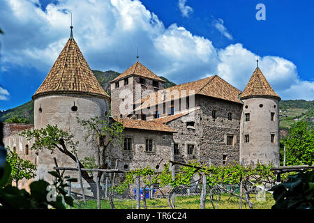 Castel Mareccio, Italia, Alto Adige, Bolzano Foto Stock
