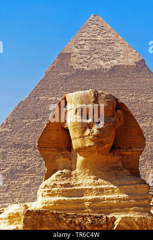 La Sfinge contro la piramide di Khafre, Egitto, Gizeh Foto Stock
