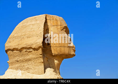 Grande Sfinge di Giza in Egitto, Gizeh Foto Stock