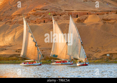 Tre feluche sul Nilo, Egitto Foto Stock