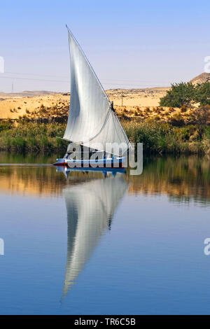 Feluca sul Nilo, Egitto Foto Stock