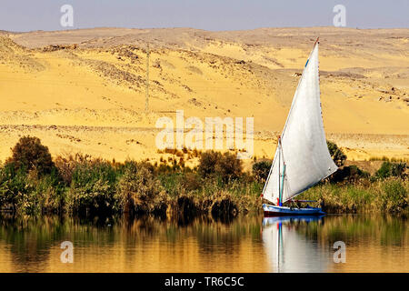 Feluca sul Nilo, Egitto Foto Stock