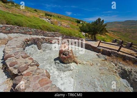 Albero di fossili, geoparc della foresta pietrificata di Sigri, Grecia, Lesbo, Mitilini Foto Stock