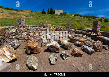 Alberi fossili, geoparc della foresta pietrificata di Sigri, Grecia, Lesbo, Mitilini Foto Stock