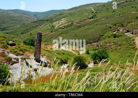 Albero di fossili, geoparc della foresta pietrificata di Sigri, Grecia, Lesbo, Mitilini Foto Stock