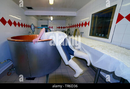 Produzione di formaggi in Val d'Isere ski, Francia, Tarentaise Foto Stock