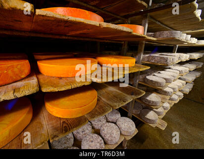 Produzione di formaggi in Val d'Isere ski, Francia, Tarentaise Foto Stock